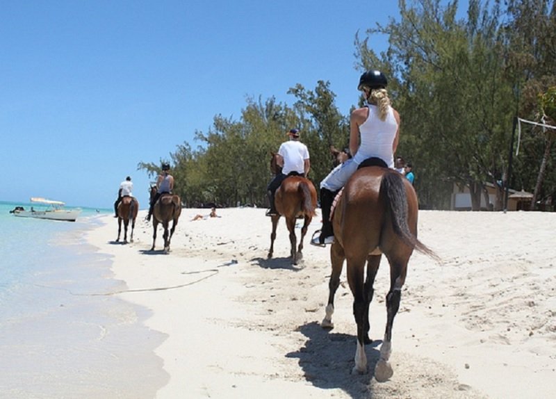 Horse-riding-3