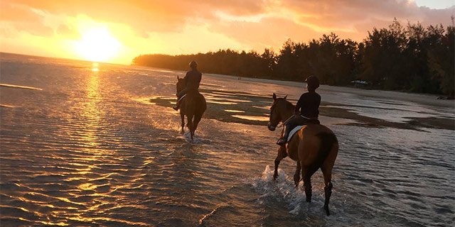 romantic-horseback-riding-swimming-riambel-beach (6)