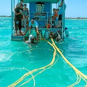 the-dive-platform-with