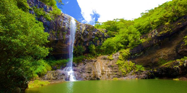hiking-trip-tamarind-falls-half-day (2)